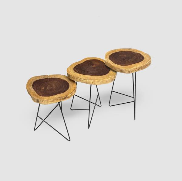 Asersus wood cookie side table set - Image 2