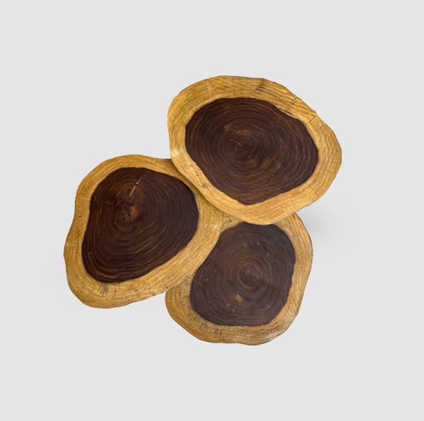 Asersus wood cookie side table set - Image 4