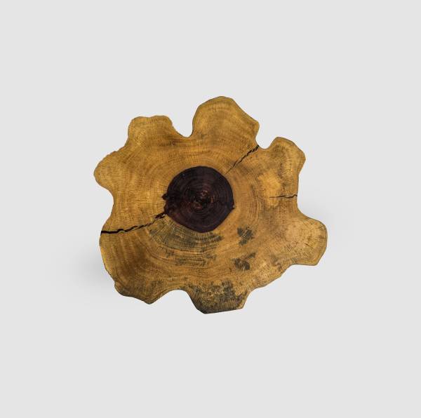 Pecan tree wood coffee table - Image 2