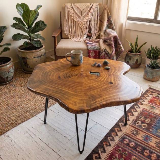 Sycamore Tree log coffee table
